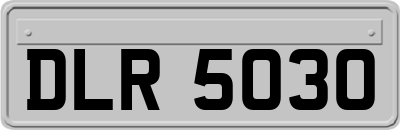 DLR5030