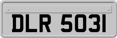 DLR5031