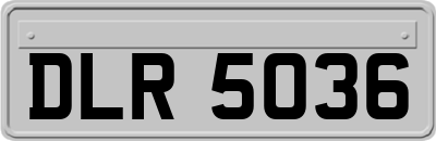 DLR5036