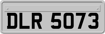 DLR5073
