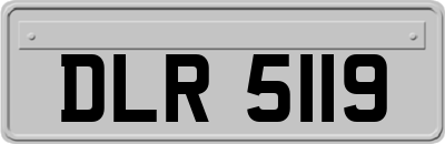 DLR5119