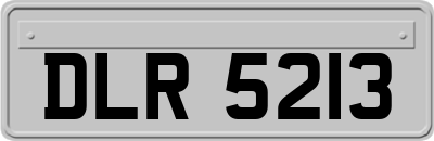 DLR5213
