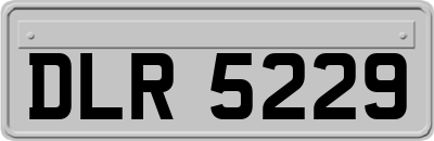 DLR5229