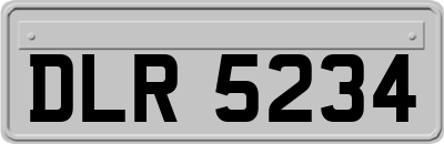 DLR5234