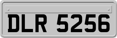 DLR5256