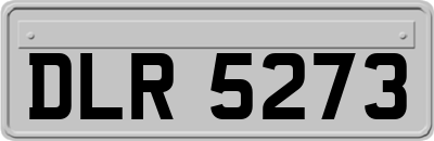 DLR5273