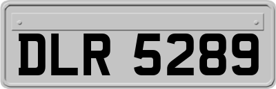 DLR5289