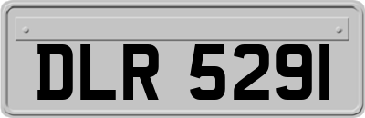 DLR5291