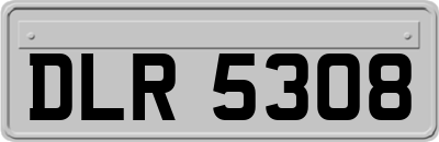 DLR5308