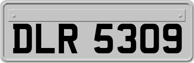 DLR5309