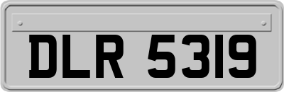 DLR5319