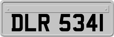 DLR5341