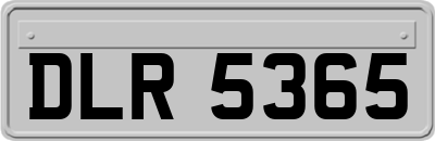DLR5365