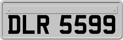 DLR5599
