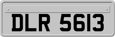 DLR5613