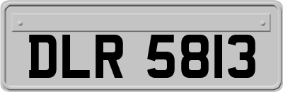 DLR5813
