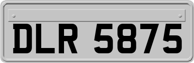 DLR5875