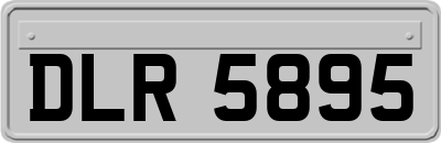 DLR5895