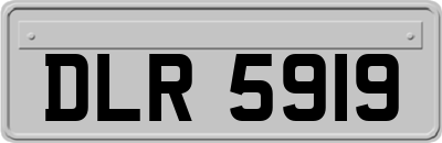 DLR5919