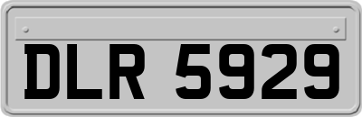 DLR5929