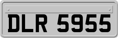DLR5955