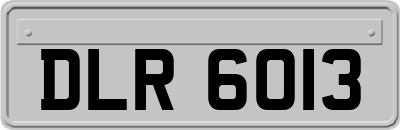 DLR6013