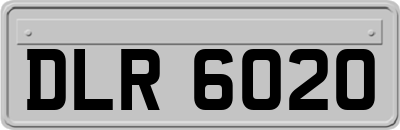 DLR6020