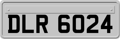 DLR6024