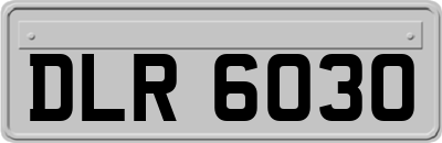 DLR6030