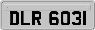 DLR6031