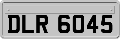 DLR6045