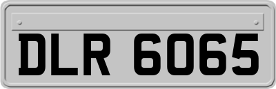 DLR6065