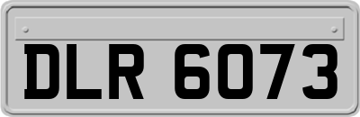 DLR6073