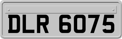 DLR6075