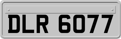 DLR6077