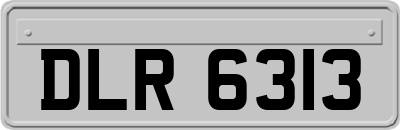 DLR6313
