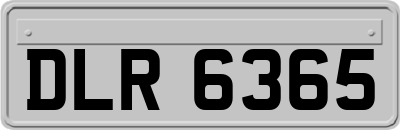 DLR6365