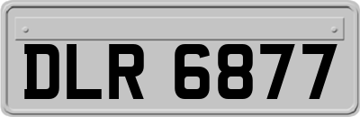 DLR6877