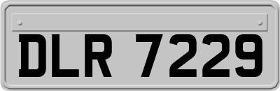DLR7229