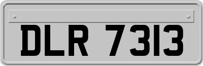 DLR7313