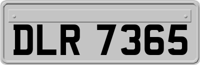 DLR7365