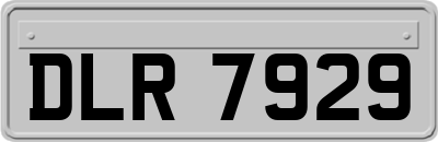 DLR7929
