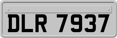 DLR7937