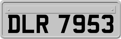 DLR7953