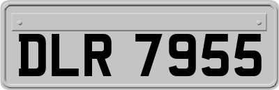 DLR7955