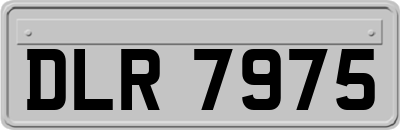 DLR7975