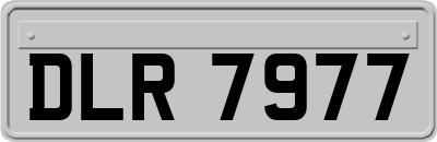 DLR7977