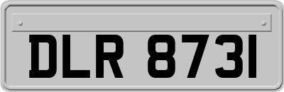 DLR8731