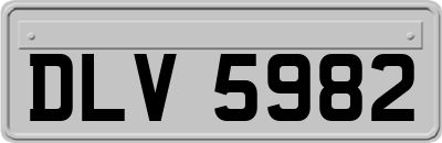 DLV5982