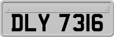 DLY7316